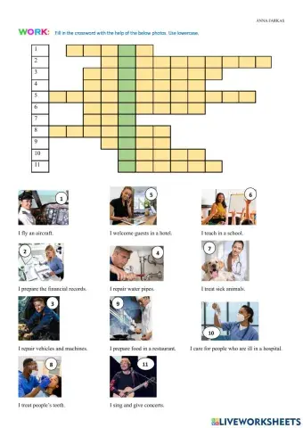 Jobs, Work, Occupations, Crossword