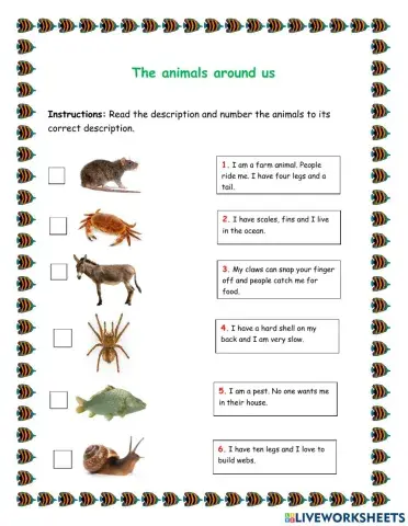Animals around us