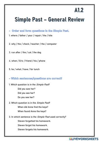 Simple Past - General Review