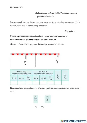 Лабораторна робота Умови з'ясування умов рівноваги важелей
