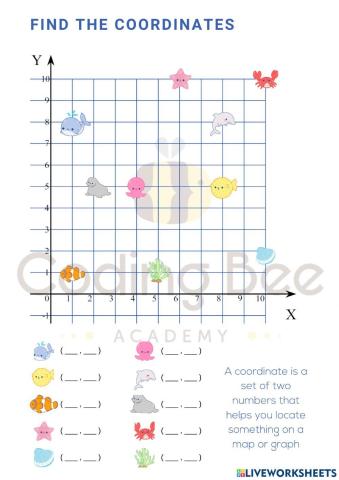 Coordinate Introduction