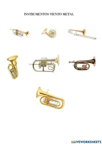 Instrumentos musicales viento-metal