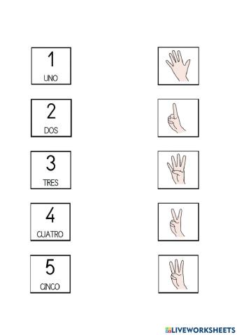 Numeros 1-5