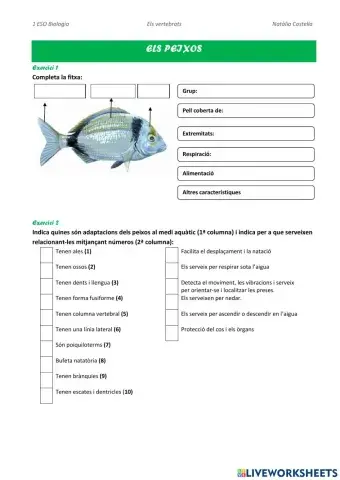 Vertebrats:peixos i ambfibis