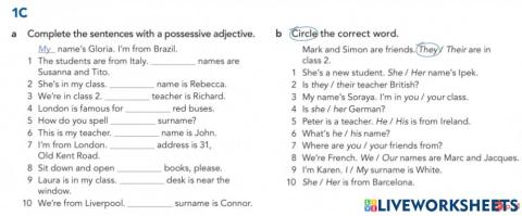 Possessive adjectives