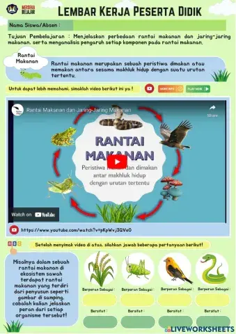 Rantai dan Jaring Makanan