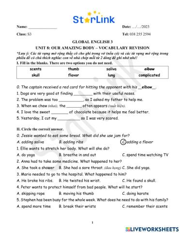 Foreign-W31-S3-U78-VOCAB-REVISION