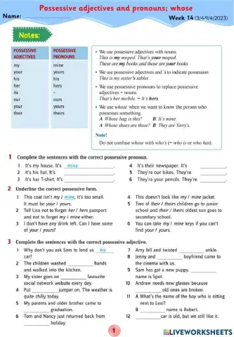 Đại từ thay thế