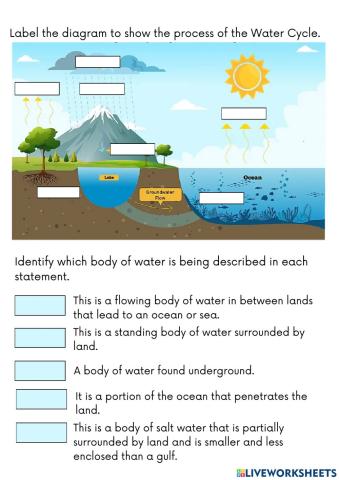 Water Cycle and Bodies of Water