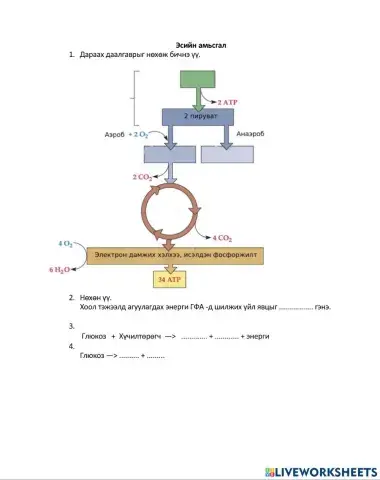 Шувууны амьсгал