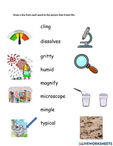 U5W4 McGraw Hill Vocab