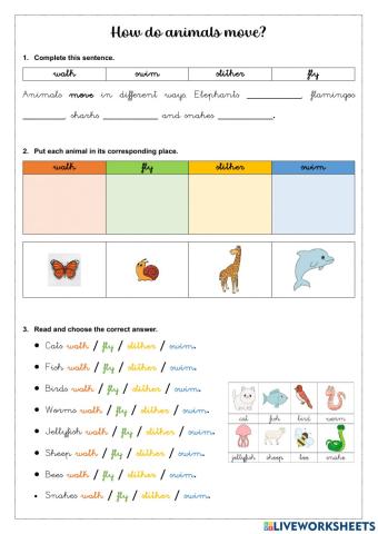 How do animals move?