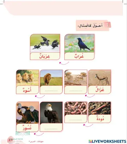 ورقة عمل تفاعلية مكون أحول نص تعلمت درسا