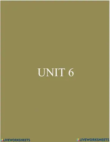 Unit 6 Divider