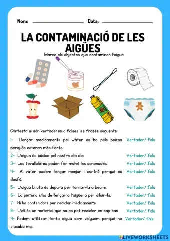 La contaminació de les aigües