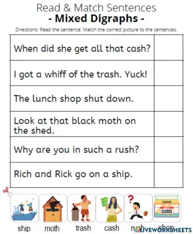 Mixed digraphs