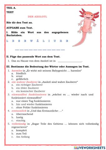 Der Axolotl