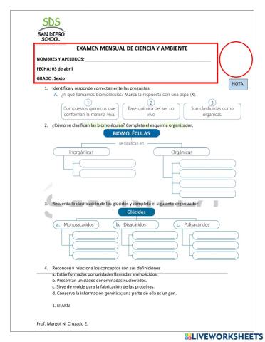 Examen mensual 6to