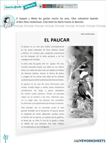 El paucar