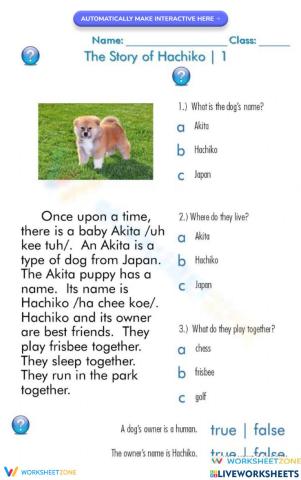 The Story of Hachiko 1