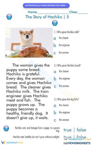 The Story of Hachiko 5