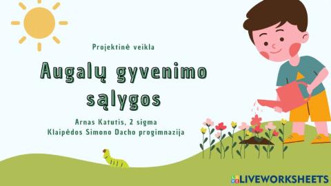 Augalų augimo sąlygos