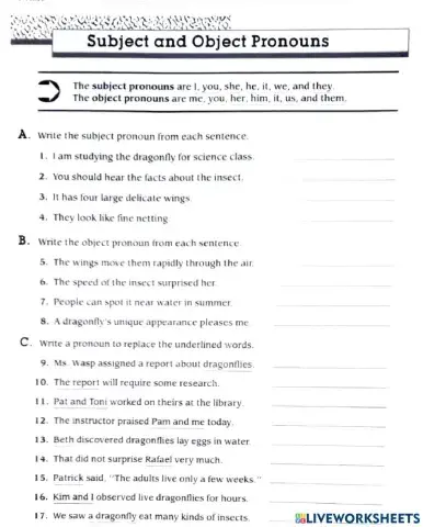 Subject and Object Pronouns