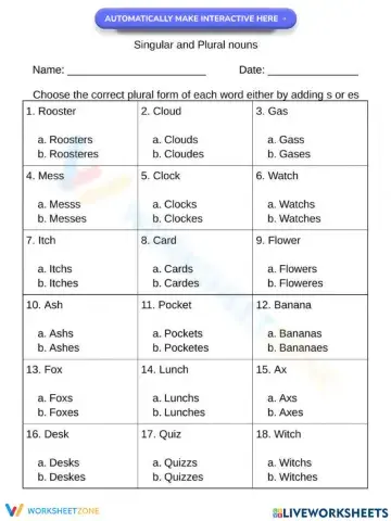 Singular and Plural Nouns