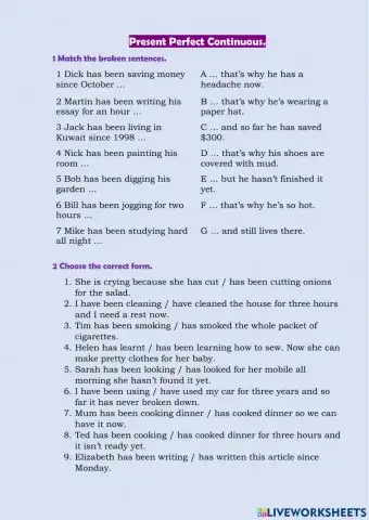 Present Perfect Continuous