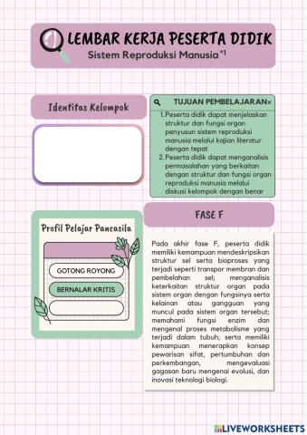 LKPD Sistem Reproduksi (Organ-organ Reproduksi Manusia)