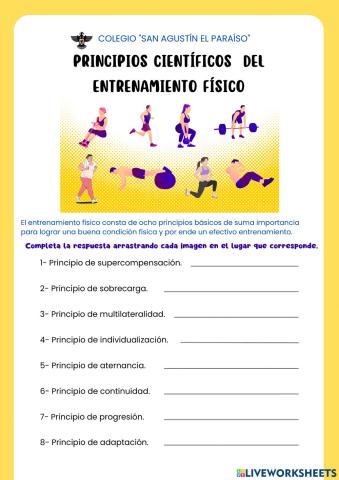 Principios científico del entrenamiento