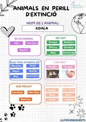 Animals en perill:koala