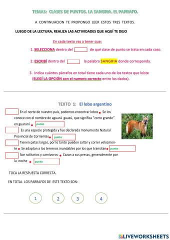 Reconocer parrafos en textos