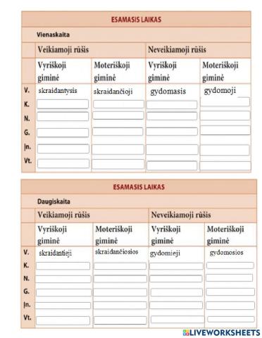 ĮVARDŽIUOTINIŲ DALYVIŲ RAŠYBA