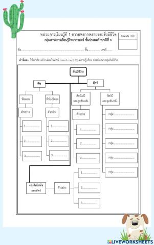 ใบงานที่ ึ7 วิชาวิทยาศาสตร์ ป 4 ความหลากหลายของสิ่งมีชีวิต