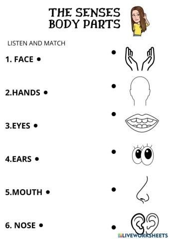 Body Parts- The senses