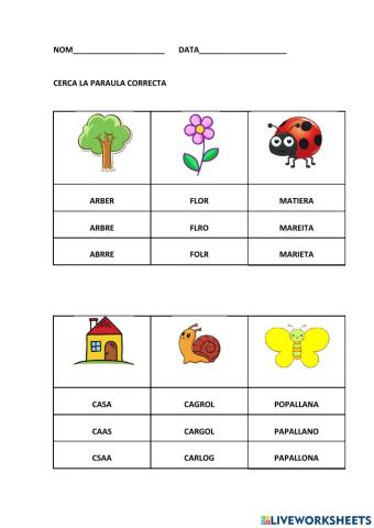 Cercar la paraula correcta