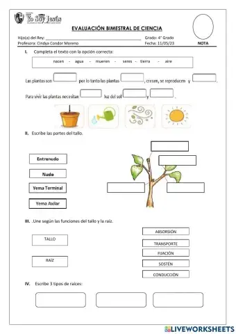 Evauación de ciencia