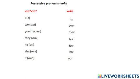Possessive adjectives