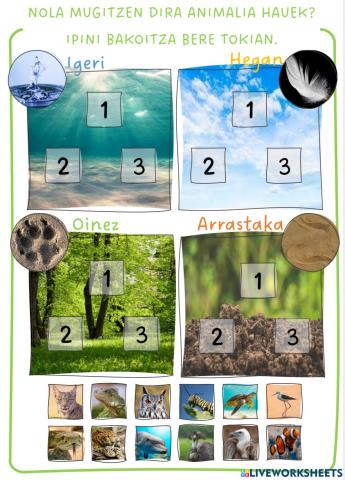 Animaliak sailkatu mugimenduaren arabera