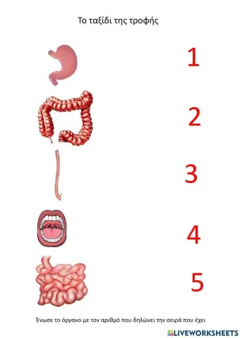 Το ταξίδι της τροφής