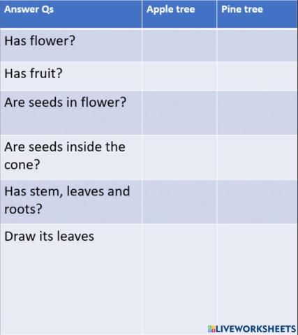 Comparing an apple tree and Pine tree.