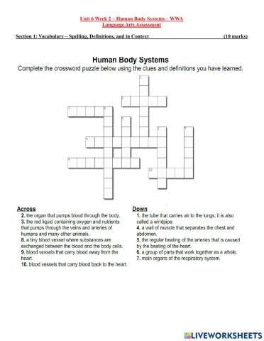 Unit 6 Week 2 Weekly Assessment