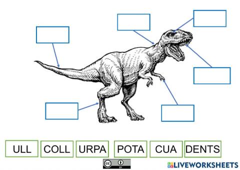 Parts dels dinosaures