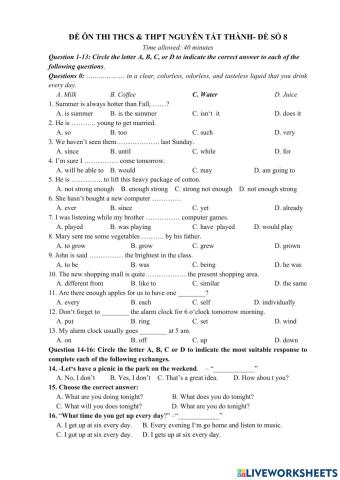 Luyện vào 6 Trường Nguyễn Tất Thành Test 8