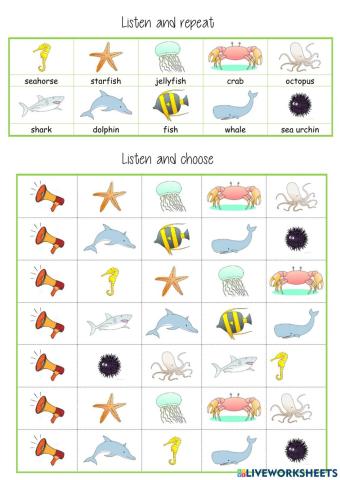 Listen and choose sea animals tiger 3