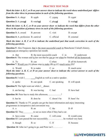Practice test 028
