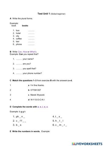 Test unit 1- Global Beginner
