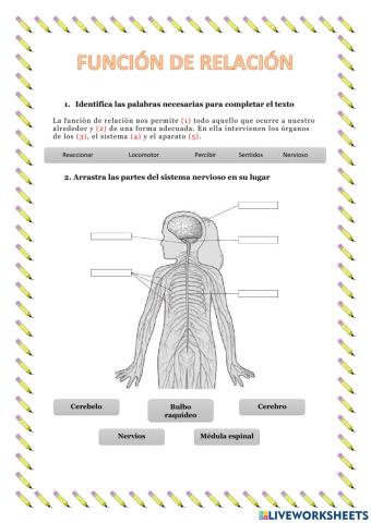 Repaso de la función de relación