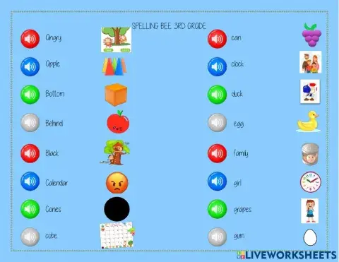 Vocabulary 3rd grade